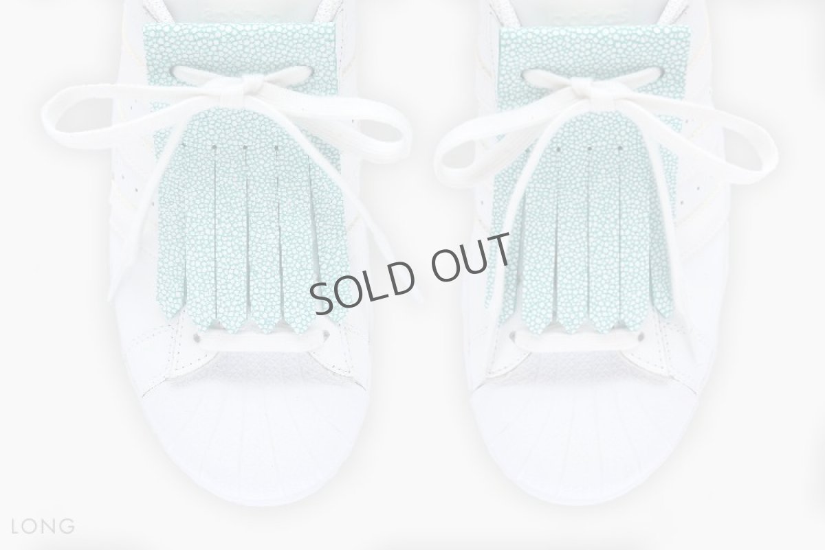 画像2:  Blue Stingray  (2)