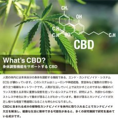 画像2: CBD FLEEK 1000 (2)