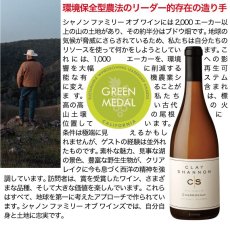 画像3: 2021 クレイシャノン エル・コヨーテ シャルドネ Clay Shannon "El Coyote" Chardonnay (3)