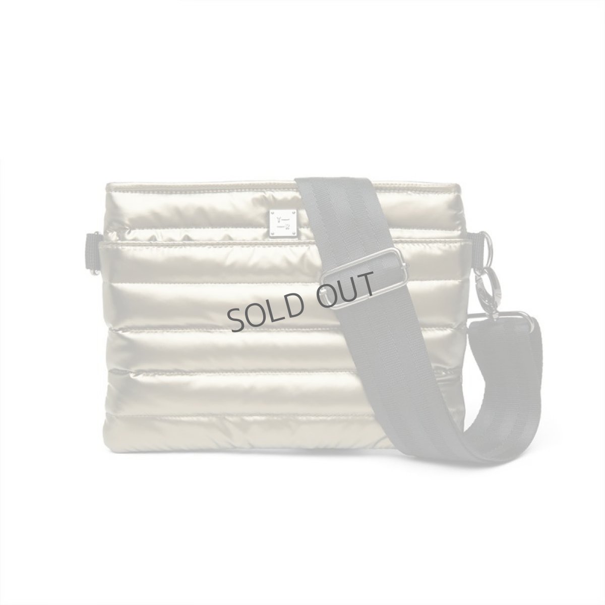 画像1: BUM BAG 2.0 P/Pyrite (1)