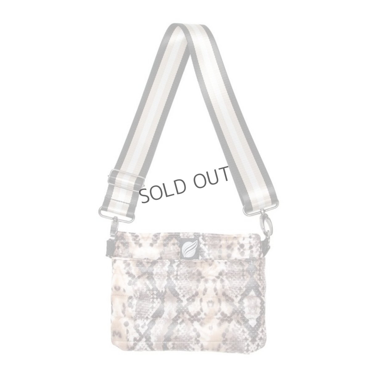 画像1: BUM Python (1)