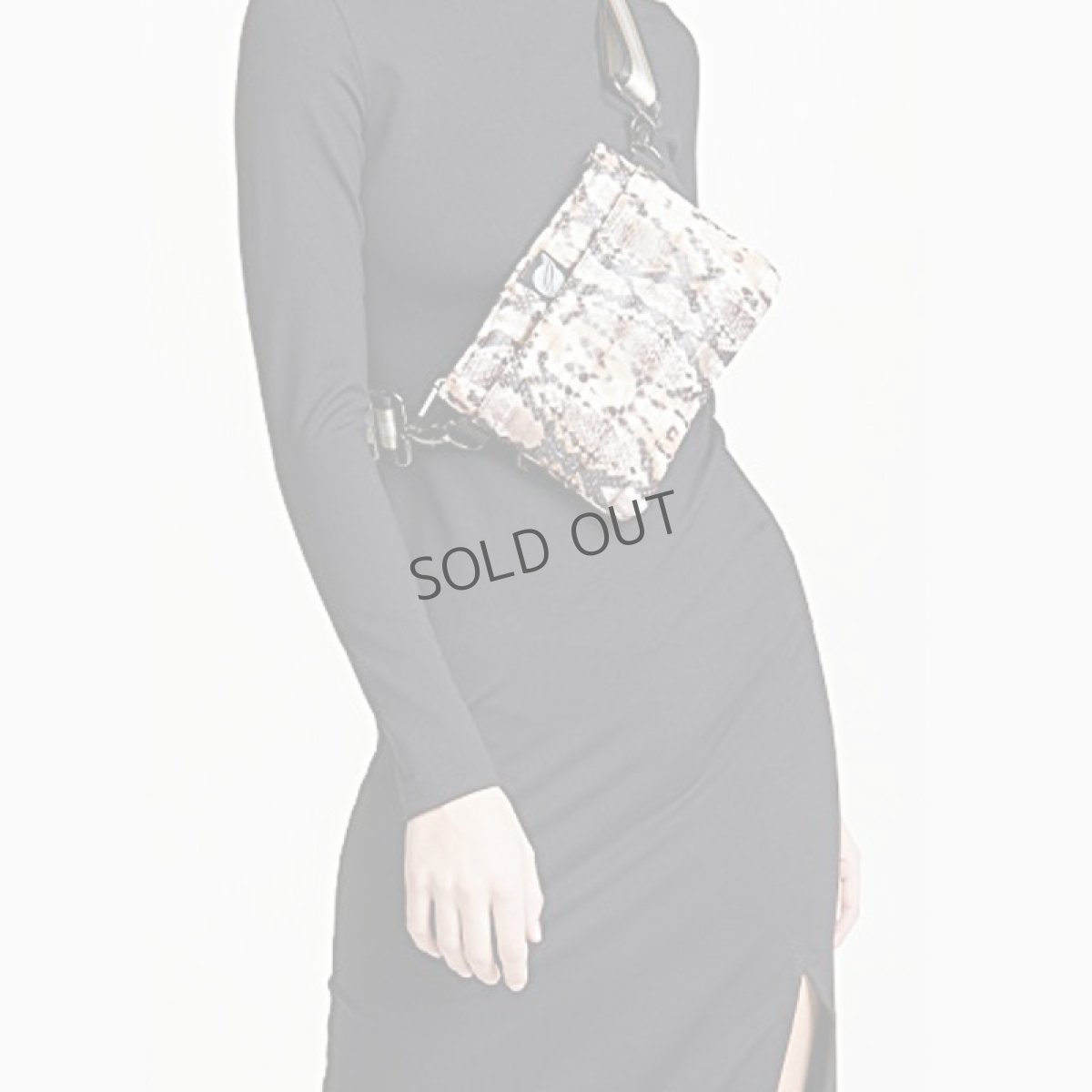 画像3: BUM Python (3)