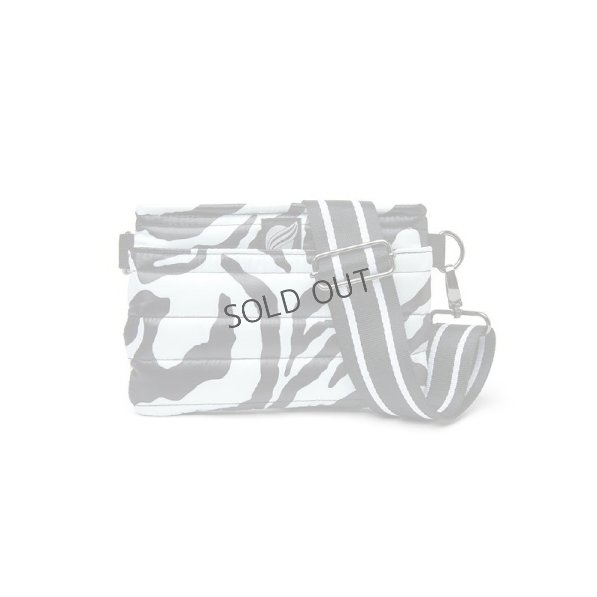 画像2: BUM ZEBRA (2)