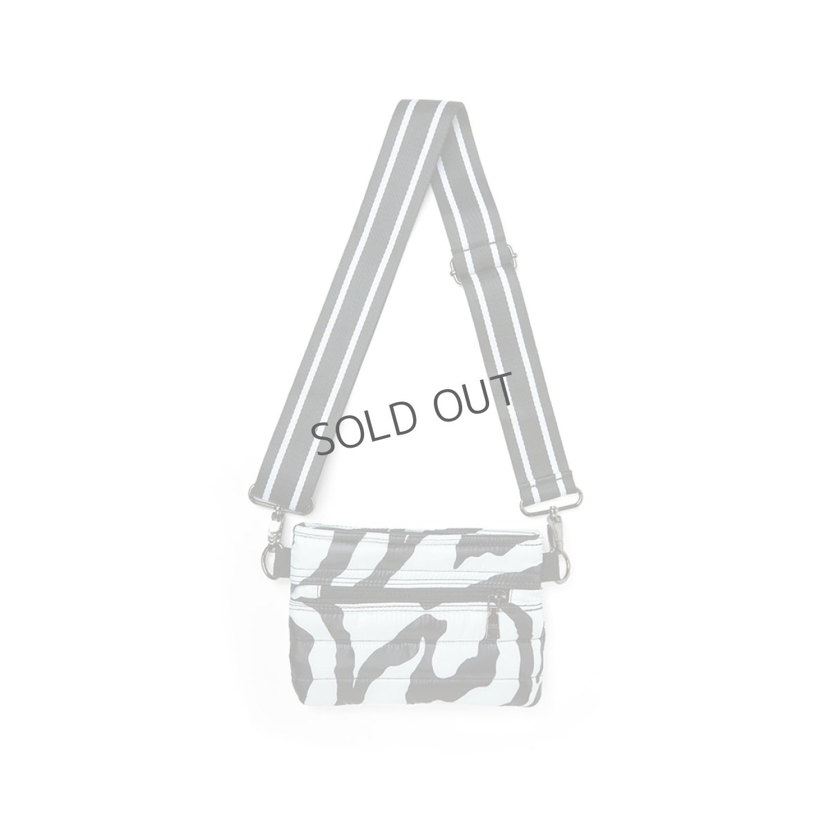 画像4: BUM ZEBRA (4)